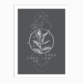 Vintage Evergreen Oak Botanical with Line Motif and Dot Pattern in Ghost Gray Art Print