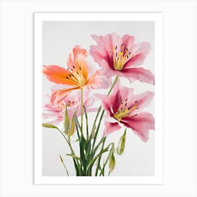 Lilies Flowers Acrylic Painting In Pastel Colours 6 Art Print