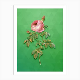 Vintage Provence Rose Bloom Botanical Art on Classic Green n.0493 Art Print