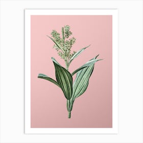 Vintage False Helleborine Botanical on Soft Pink n.0615 Art Print