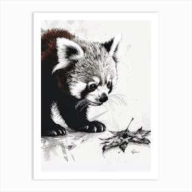 Red Panda Cub Playing With A Fallen Leaf Ink Illustration 4 Art Print