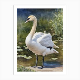 Reflection Bewick S Swan Art Print