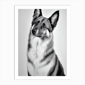 Belgian Tervuren B&W Pencil Dog Art Print