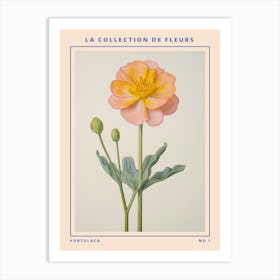 Portulaca French Flower Botanical Poster Art Print