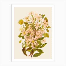 Clematis 1 Art Print