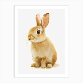 Dutch Rabbit Kids Illustration 3 Art Print