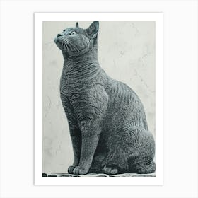 Russian Blue Cat Relief Illustration 1 Art Print