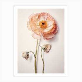 Pressed Flower Botanical Art Ranunculus 3 Art Print