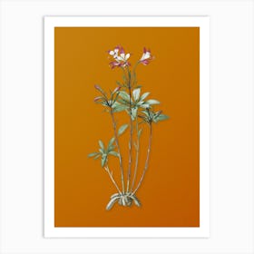 Vintage Lily of the Incas Botanical on Sunset Orange n.0344 Art Print