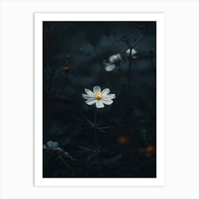 Dark Photography Art Print