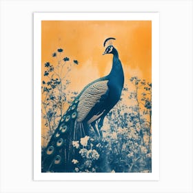 Vintage Orange & Blue Peacock In The Wild 2 Art Print
