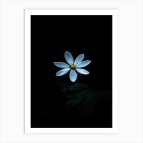 White Flower In The Dark 8 Art Print