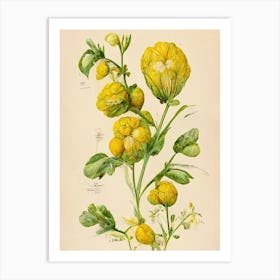 Yellow Flowers Botanical Farmhouse Art Print