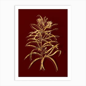 Vintage Narrow Leaved Spider Flower Botanical in Gold on Red n.0301 Art Print