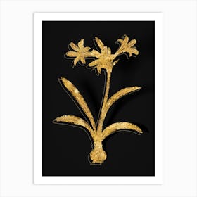 Vintage Amaryllis Botanical in Gold on Black n.0187 Art Print