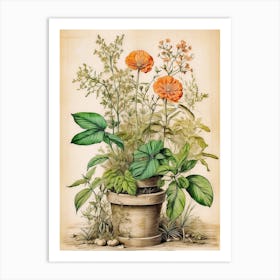 Orange Flowers In A Pot Art Print