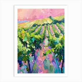 Vineyards At Sunset 2 Art Print