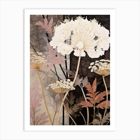 Flower Illustration Queen Annes Lace 2 Art Print