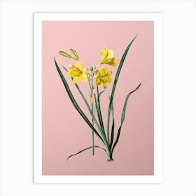 Vintage Daylily Botanical on Soft Pink n.0694 Art Print
