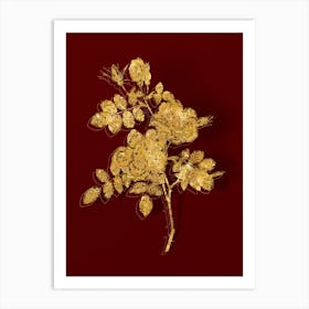 Vintage Austrian Briar Rose Botanical in Gold on Red n.0452 Art Print