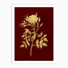 Vintage White Rose of Rosenberg Botanical in Gold on Red n.0473 Art Print