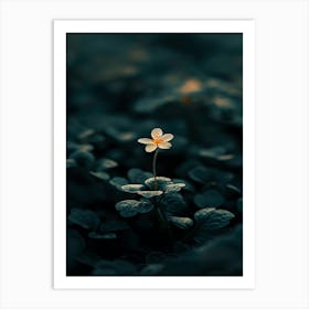 Flower In The Dark 58 Art Print