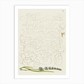 Insect And Hyssop From Mira Calligraphiae Monumenta, Joris Hoefnagel Art Print