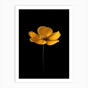 Single Yellow Flower On Black Background 2 Art Print