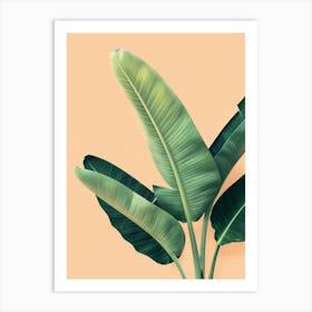 Banana Leaf On A Beige Background Art Print