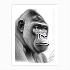 Gorilla With Wondering Face Gorillas Greyscale Sketch 2 Art Print