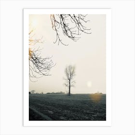 Late Winter Tree Art Print