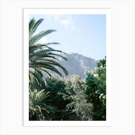 Palm Trees with a view, Tenerife, Canary Islands Art Print