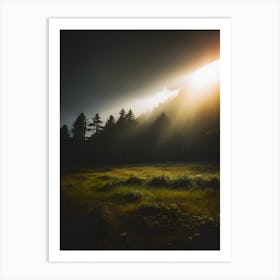 Sun Rising Over A Meadow Art Print