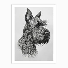 Kerry Blue Terrier Line Sketch 1 Art Print