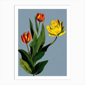 Tulips 6 Art Print