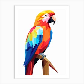 Colourful Geometric Bird Parrot 2 Art Print