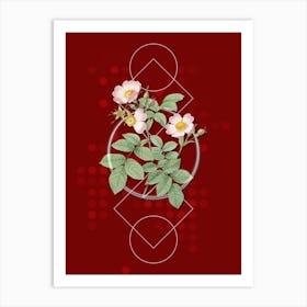 Vintage Short Styled Field Rose Botanical with Geometric Line Motif and Dot Pattern n.0031 Art Print