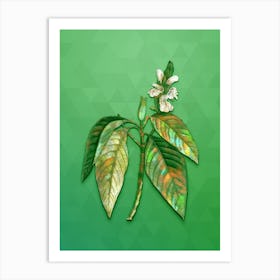 Vintage Malabar Nut Botanical Art on Classic Green n.1244 Art Print