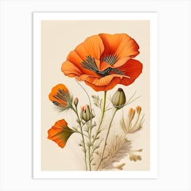 California Poppy Spices And Herbs Retro Drawing 3 Art Print