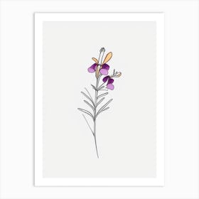 Nemesia Floral Minimal Line Drawing 1 Flower Art Print