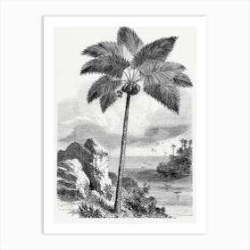 Vintage Palm Tree Art Print _2643183 Art Print