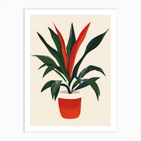 Bromeliad Plant Minimalist Illustration 8 Art Print