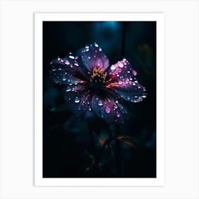 Raindrops On A Flower Art Print