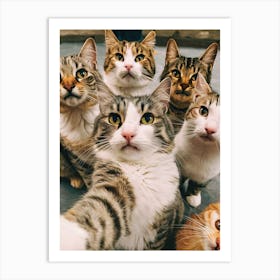 Group Of Cats Art Print