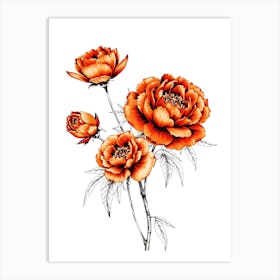 Orange Peony Art Print