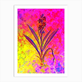 Wachendorfia Thyrsiflora Botanical in Acid Neon Pink Green and Blue n.0248 Art Print
