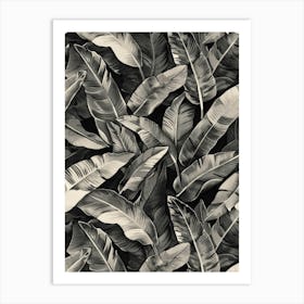 Black And White Banana Leaves 4 Art Print