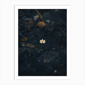 Flower In The Water 13 Art Print