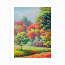 Chinese Pistache Tree Watercolour Art Print