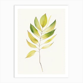 Cassia Leaf Minimalist Watercolour Art Print